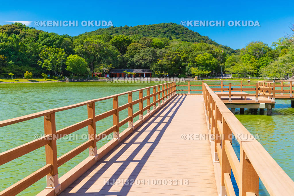 奈良県　橿原神宮　深田池