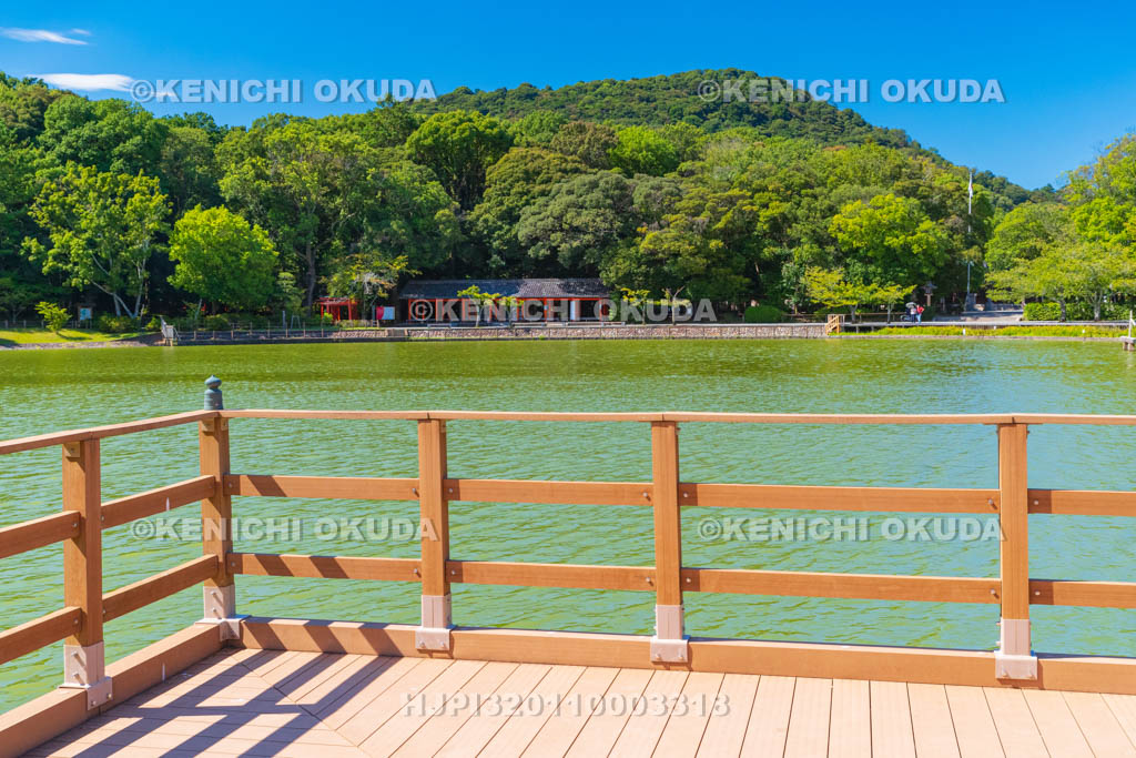 奈良県　橿原神宮　深田池