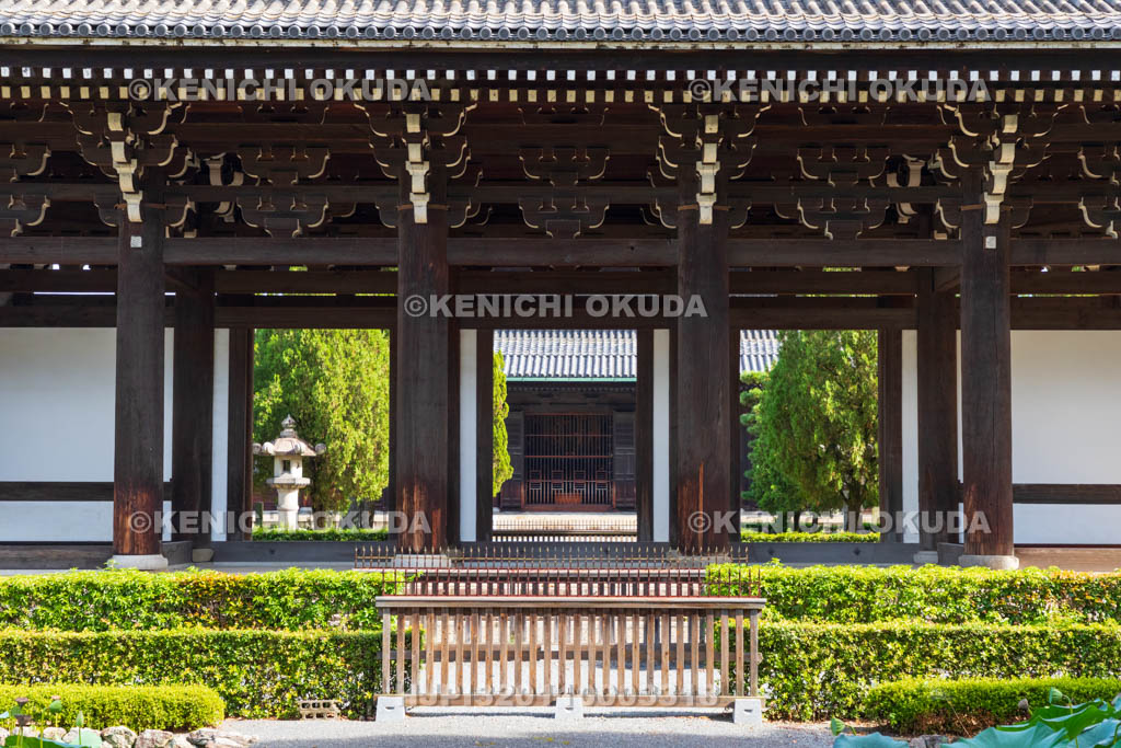 京都府 東福寺 三門(国宝)から望む本堂(仏堂)
