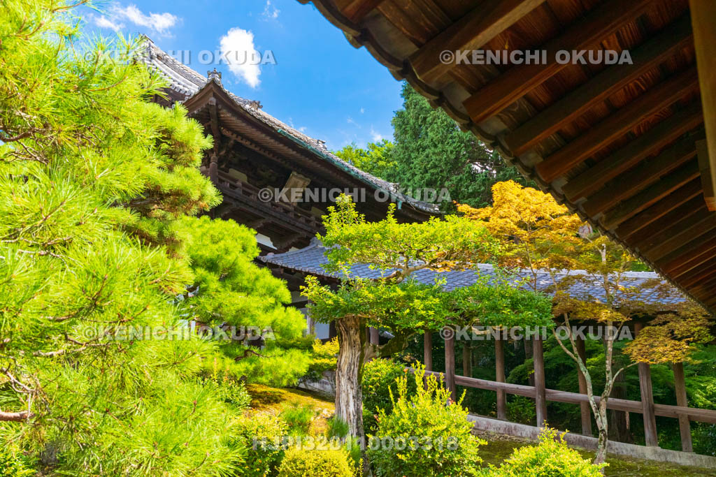 京都府 東福寺 常楽庵 楼門(重要文化財)付近