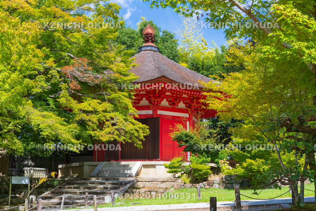 京都府　東福寺　愛染堂（重要文化財）
