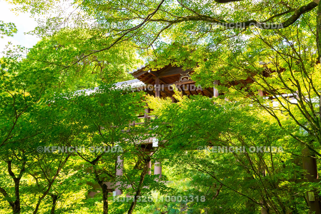 京都府　東福寺　通天橋
