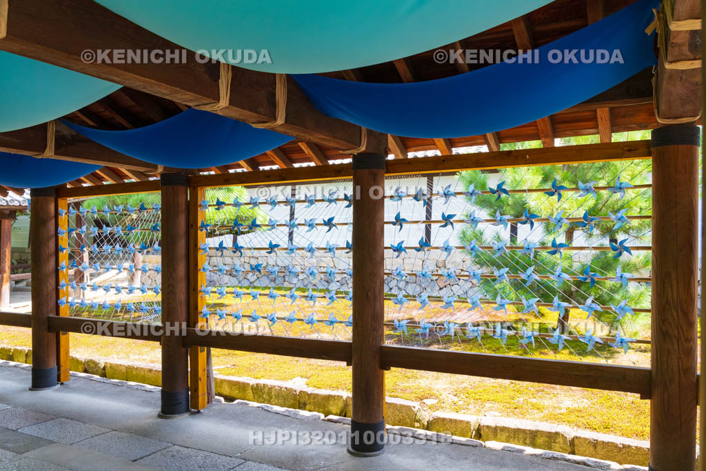 京都府 東福寺 風車 通天橋付近