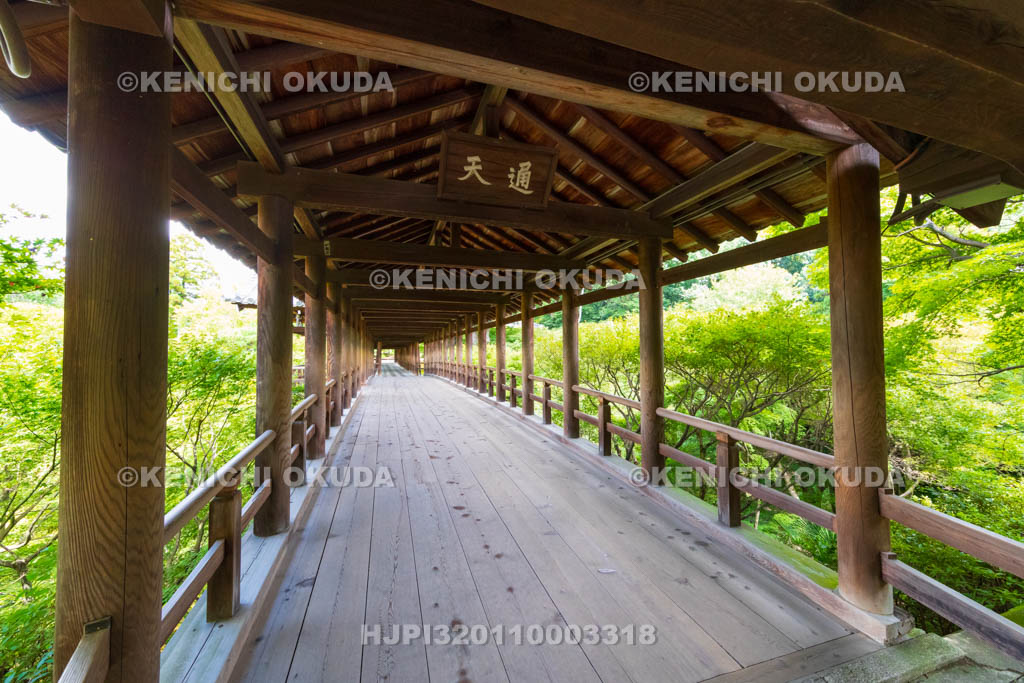 京都府　東福寺　通天橋