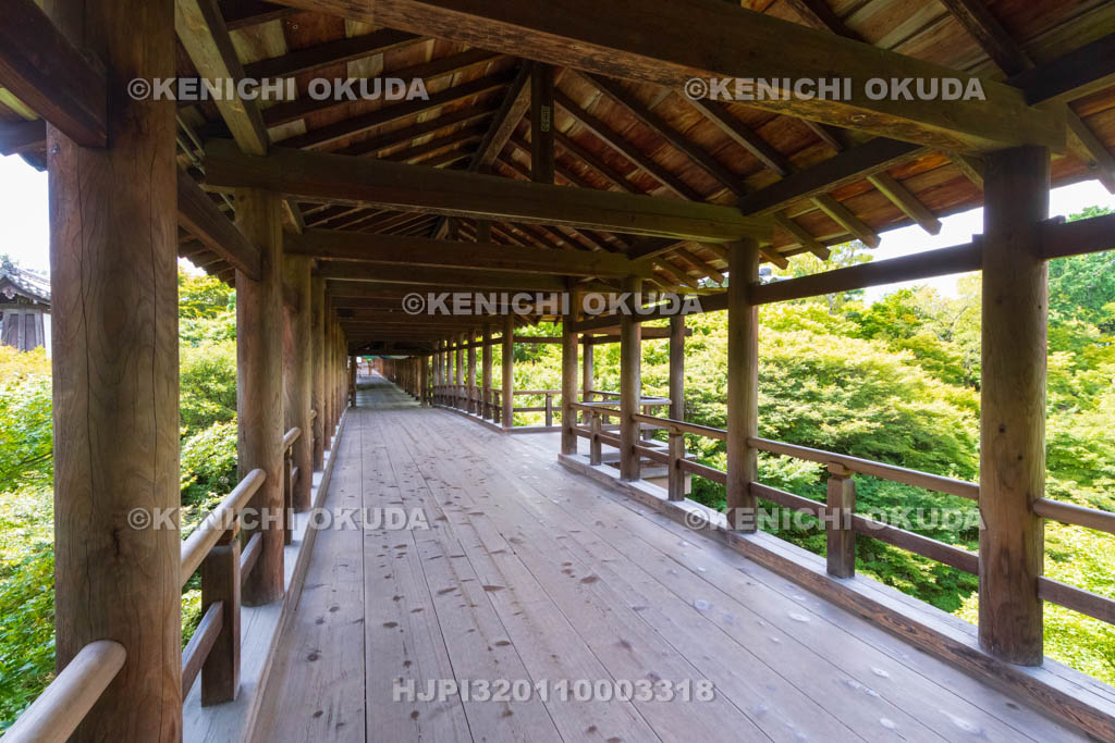京都府　東福寺　通天橋