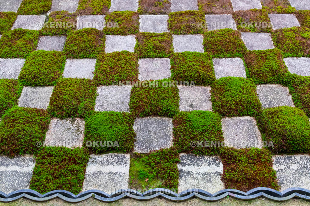 京都府 東福寺 本坊庭園(八相の庭) 北庭