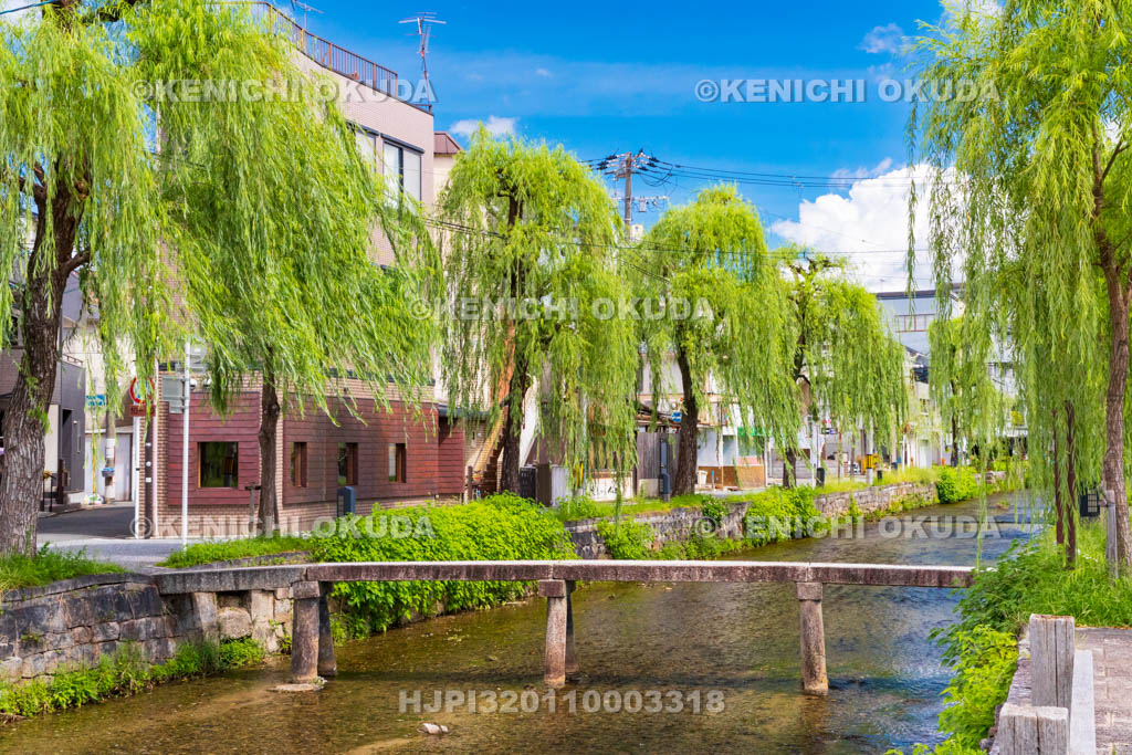 京都府　白川の一本橋