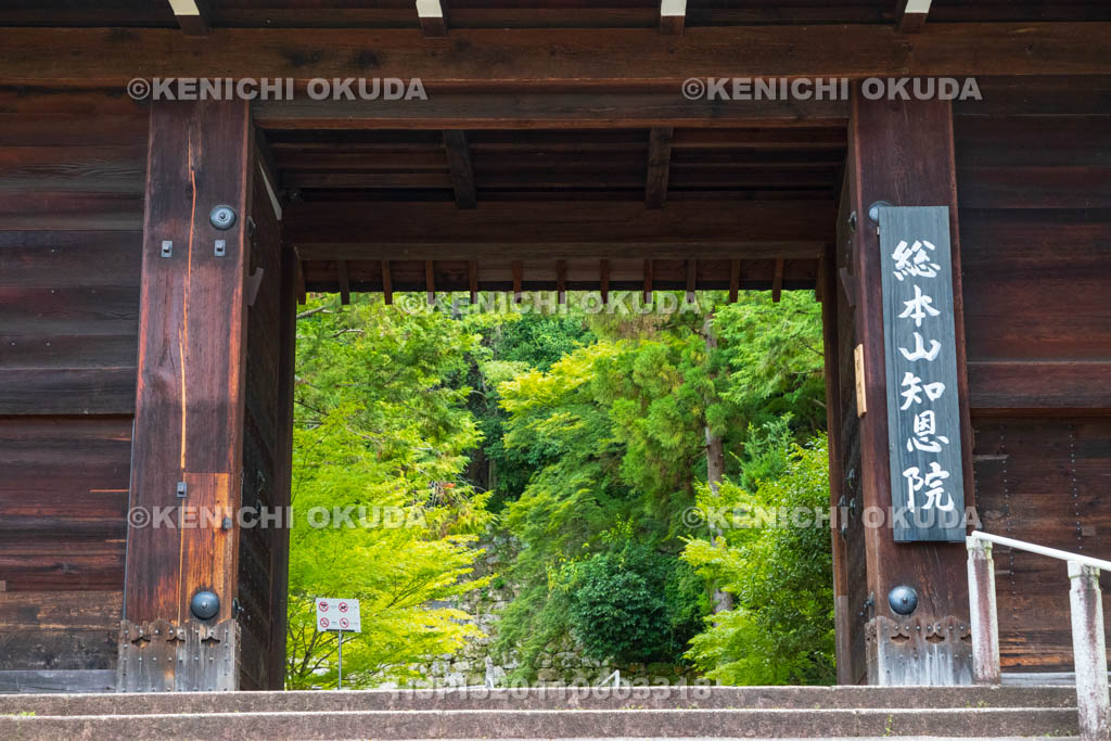 京都府 知恩院 黒門