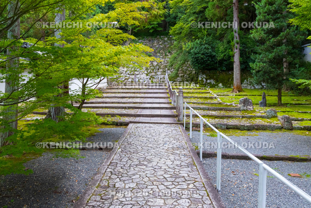 京都府　知恩院　黒門坂