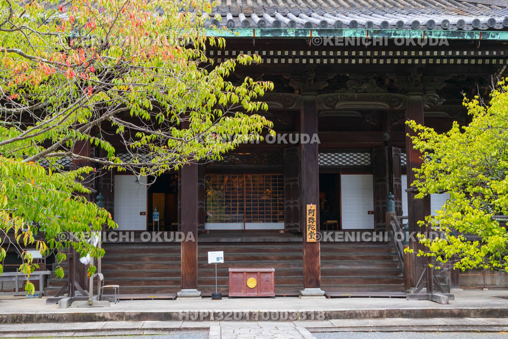 京都府 知恩院 阿弥陀堂