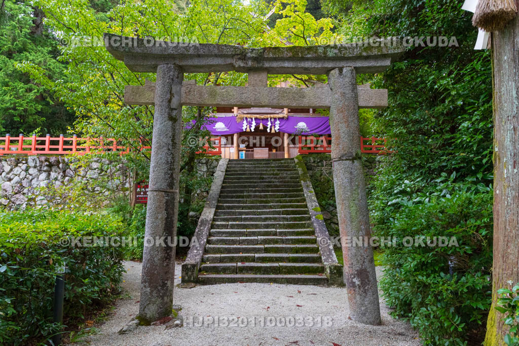 奈良県　高鴨神社