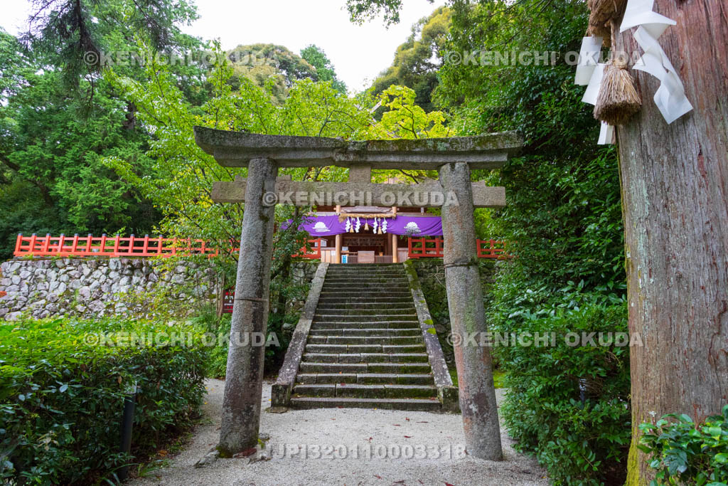 奈良県　高鴨神社