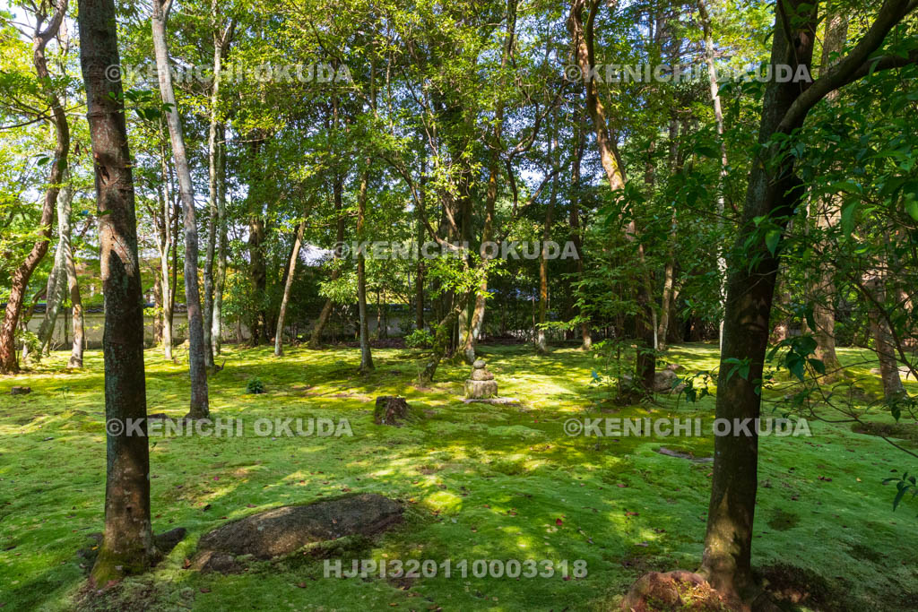 奈良県　秋篠寺　苔庭　金堂跡