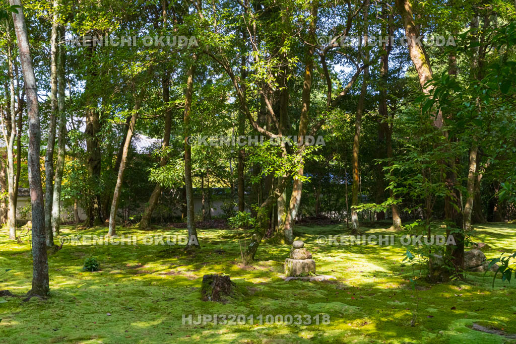奈良県　秋篠寺　苔庭　金堂跡