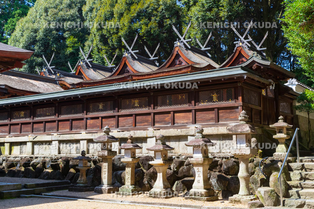 奈良県　往馬大社（いこまたいしゃ）　本殿