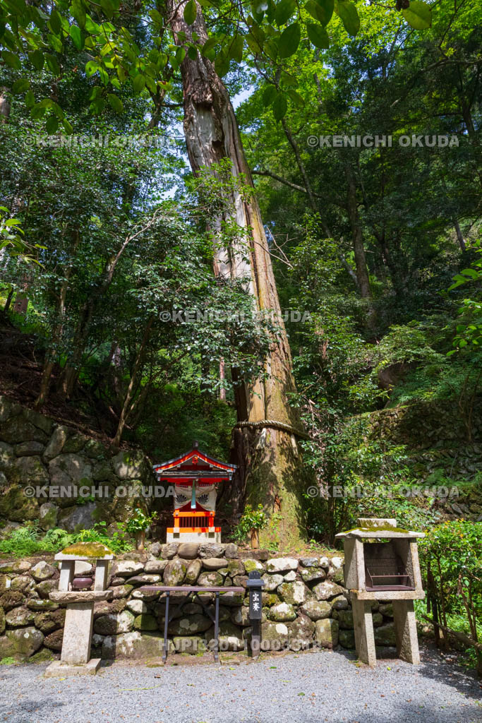 京都府 鞍馬寺 双福苑