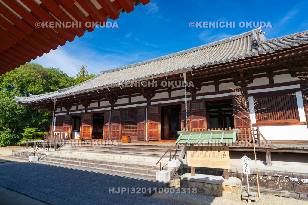奈良県　薬師寺　東院堂（国宝）