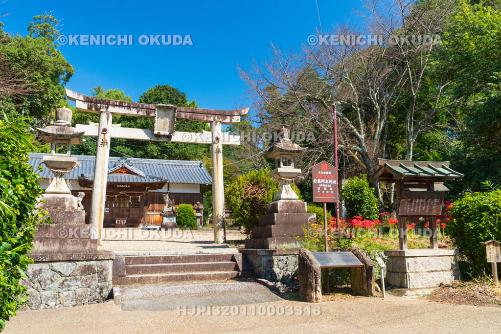 奈良県　ヒガンバナ咲く於美阿志神社（おみあしじんじゃ）