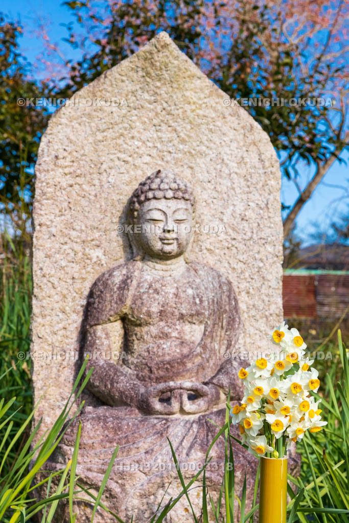 奈良県　般若寺　阿弥陀如来像とスイセン