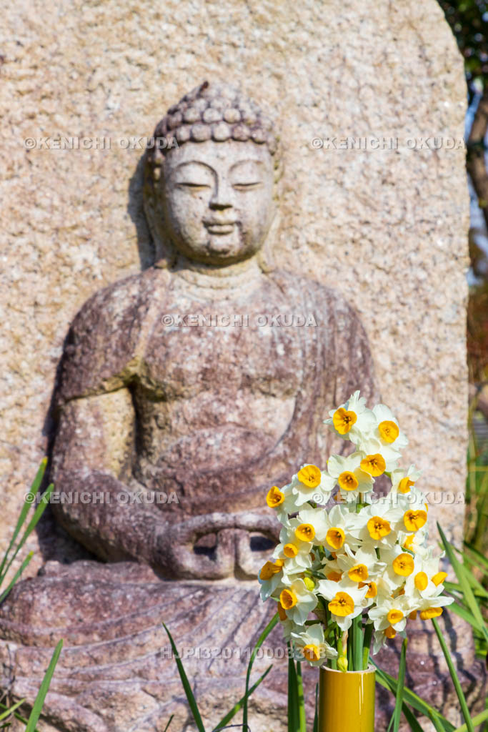 奈良県　般若寺　阿弥陀如来像とスイセン
