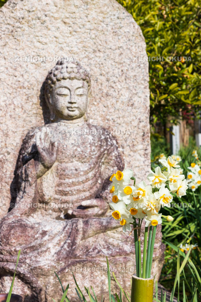 奈良県　般若寺　釈迦如来像とスイセン