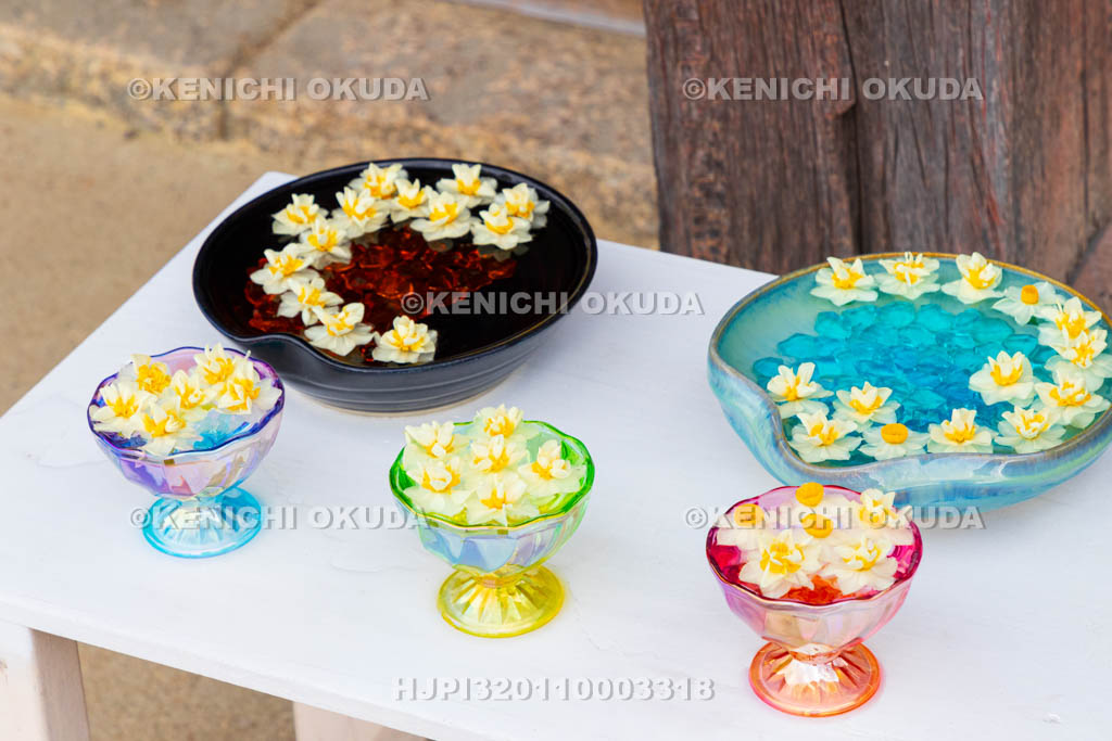 奈良県　般若寺　本堂前　スイセンの飾り付け