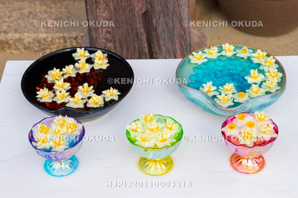 奈良県　般若寺　本堂前　スイセンの飾り付け