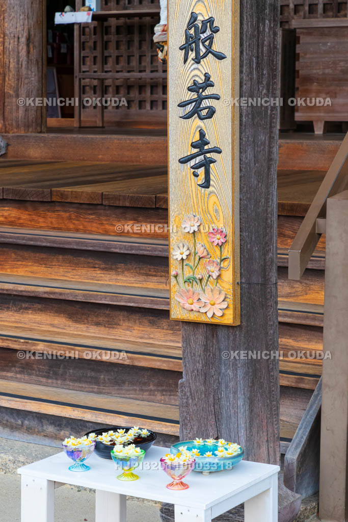 奈良県　般若寺　本堂前　スイセンの飾り付け