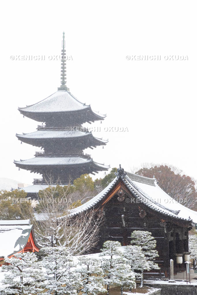 京都府　雪の東寺