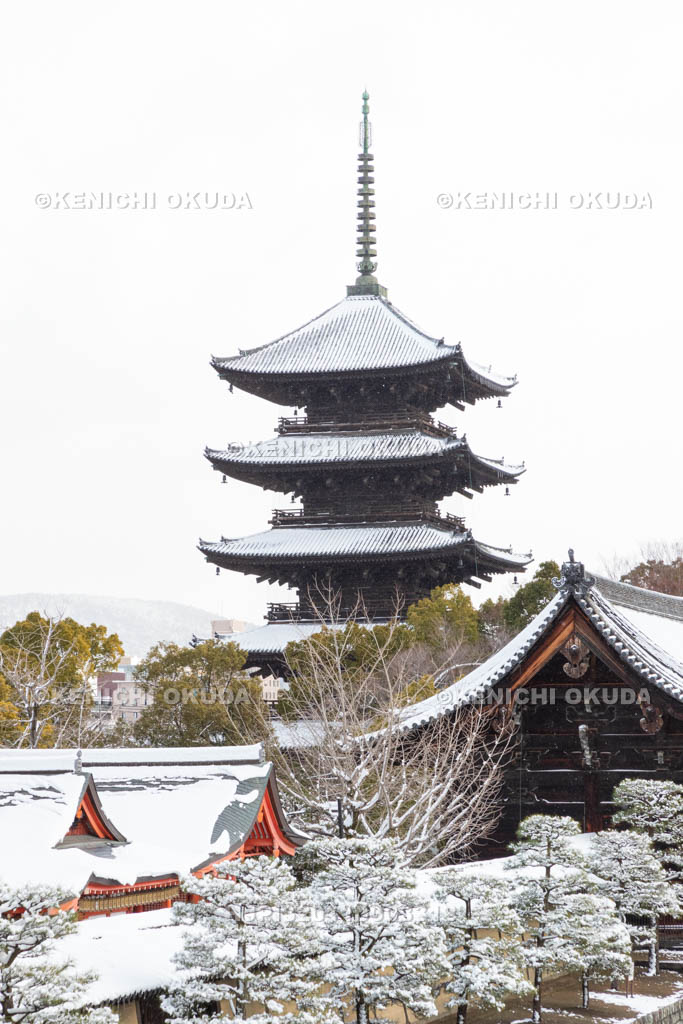 京都府　雪の東寺