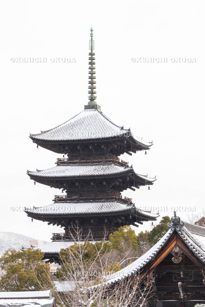 京都府　雪の東寺　五重塔（国宝）