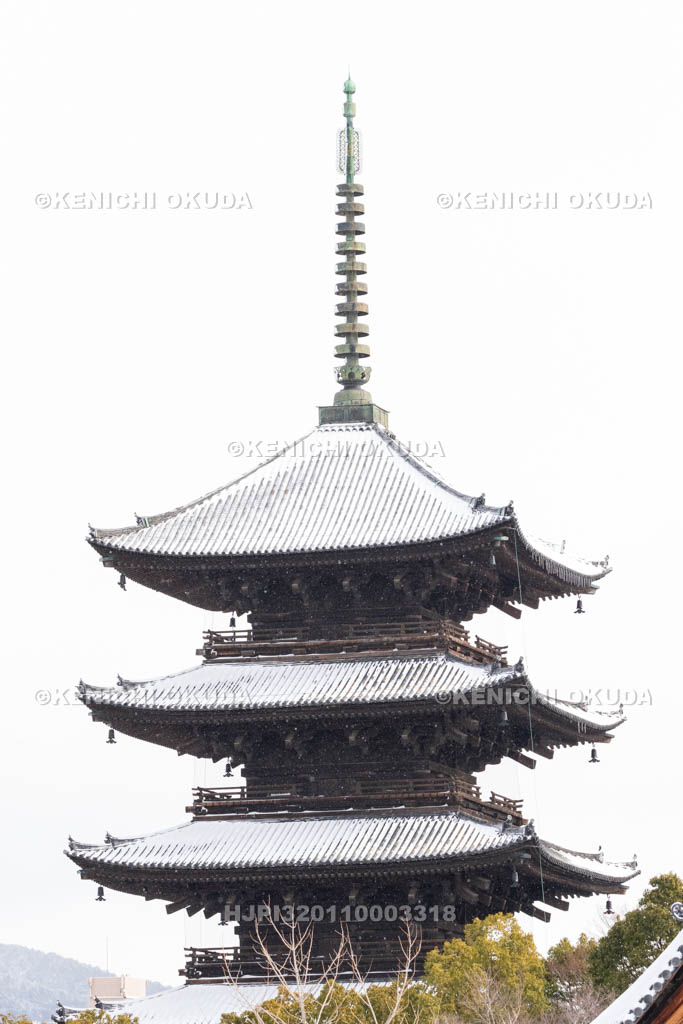 京都府　雪の東寺　五重塔（国宝）
