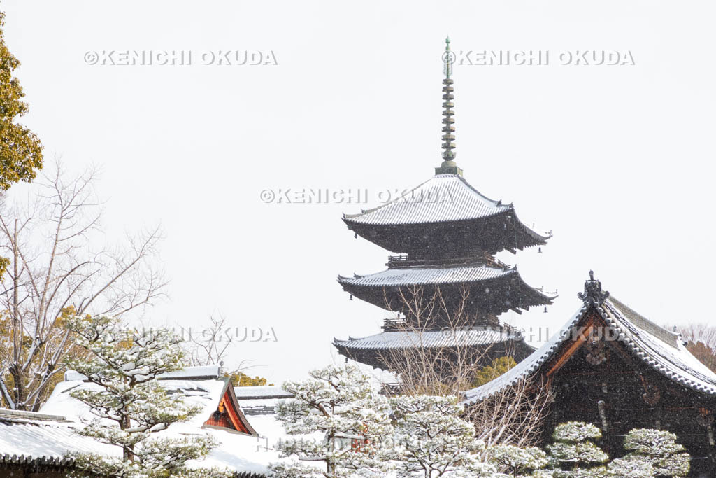 京都府　雪の東寺