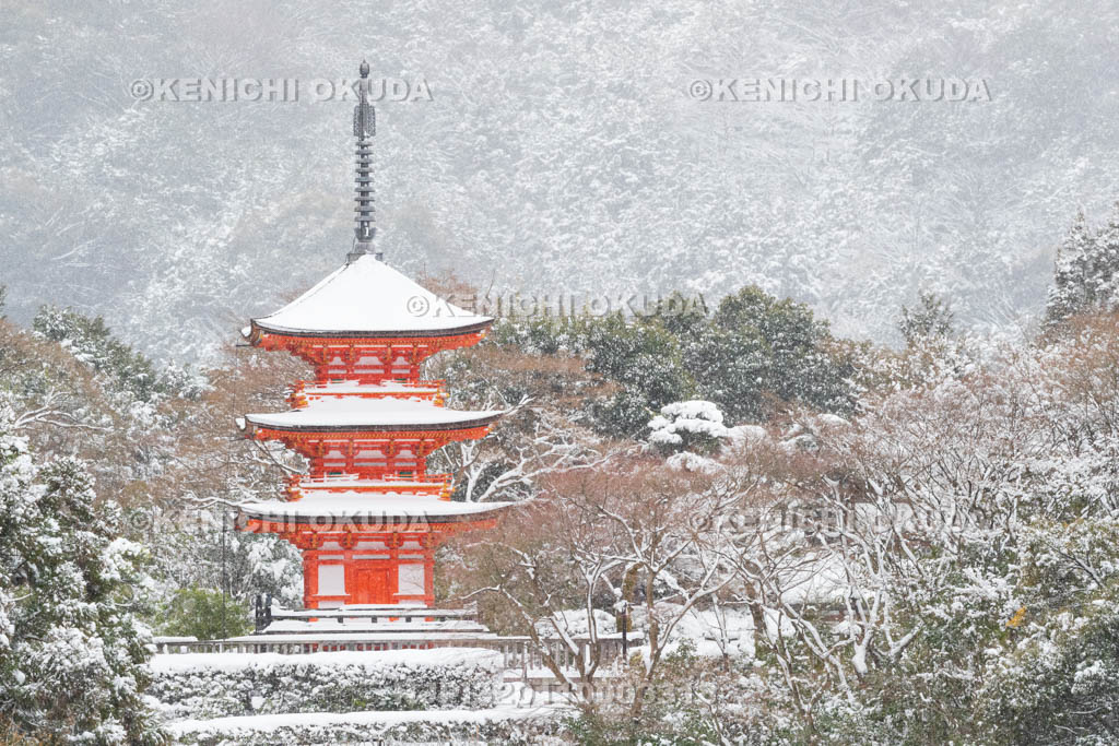 京都府　雪の清水寺　子安塔（重要文化財）