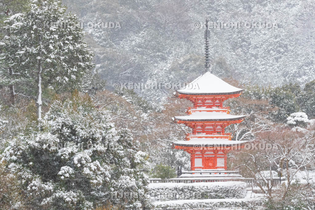 京都府　雪の清水寺　子安塔（重要文化財）