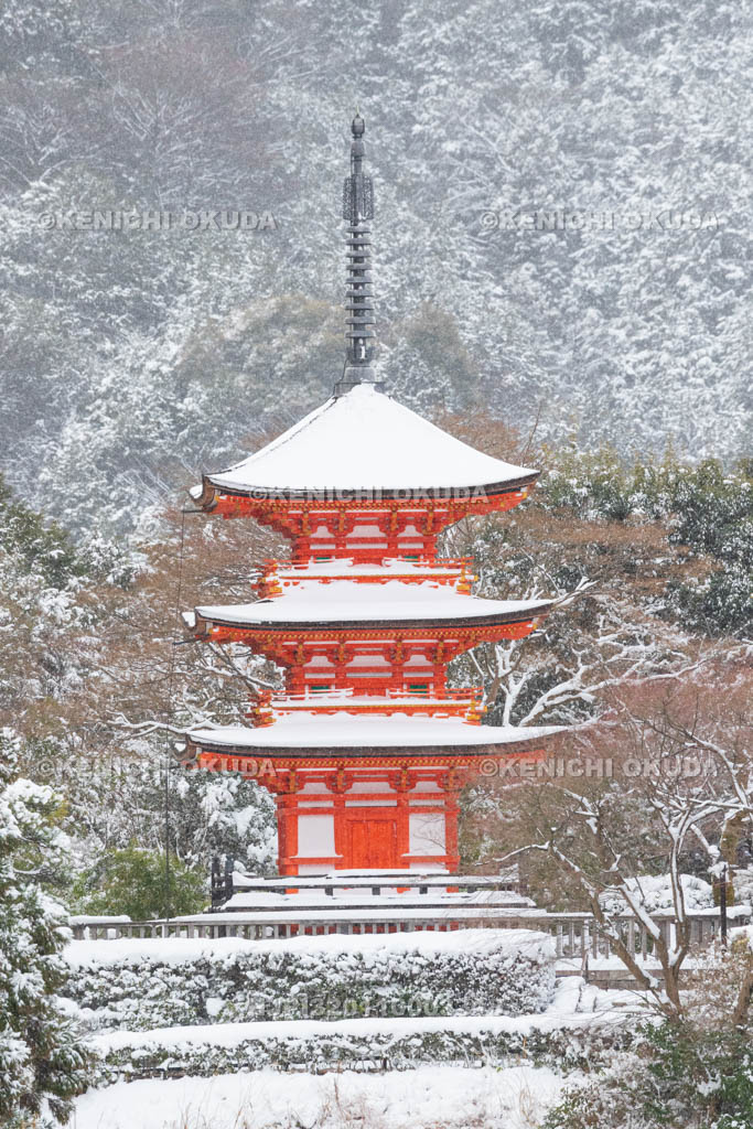 京都府　雪の清水寺　子安塔（重要文化財）