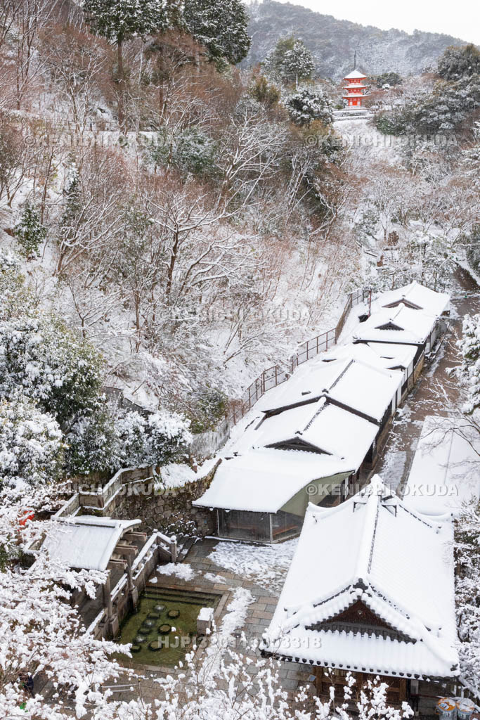 京都府　雪の清水寺