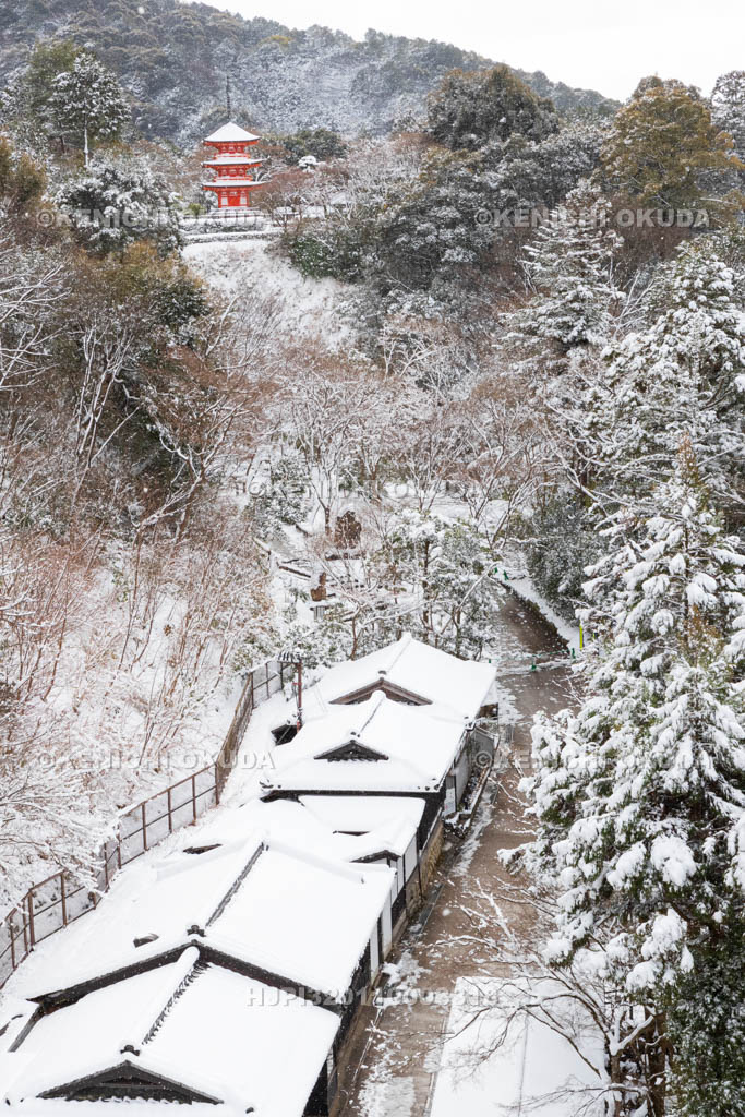 京都府　雪の清水寺