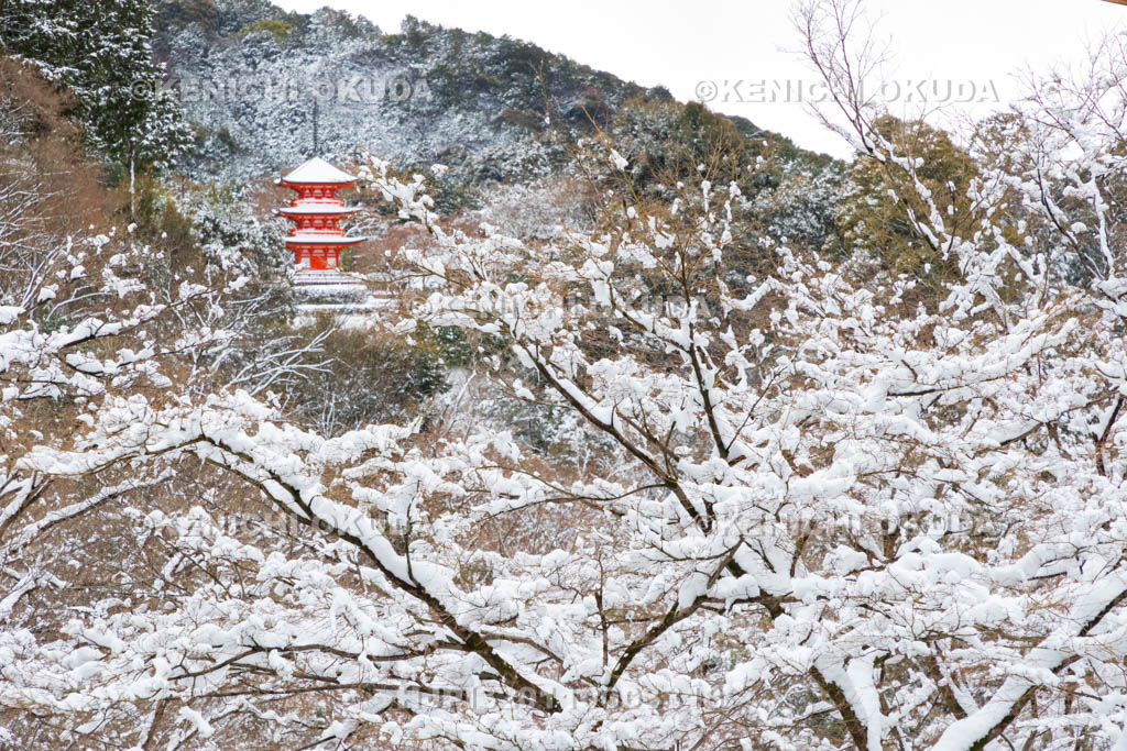 京都府　雪の清水寺　子安塔（重要文化財）