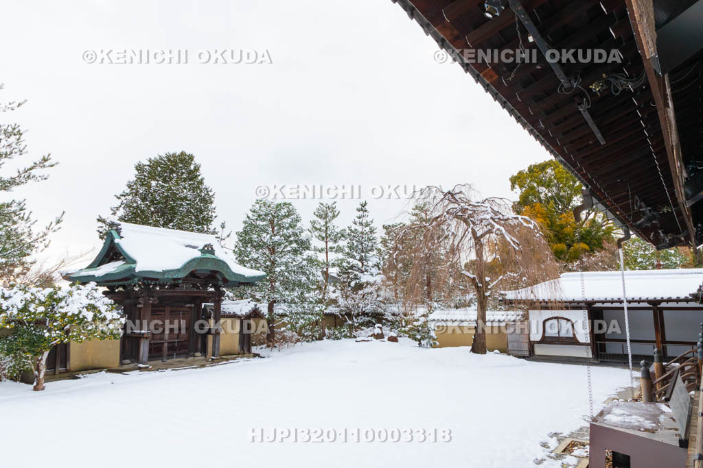 京都府　雪の高台寺　方丈前庭