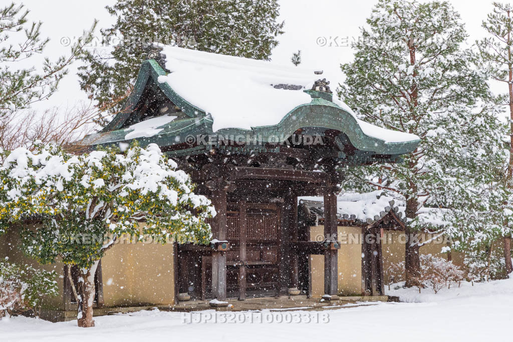 京都府　雪の高台寺　勅使門