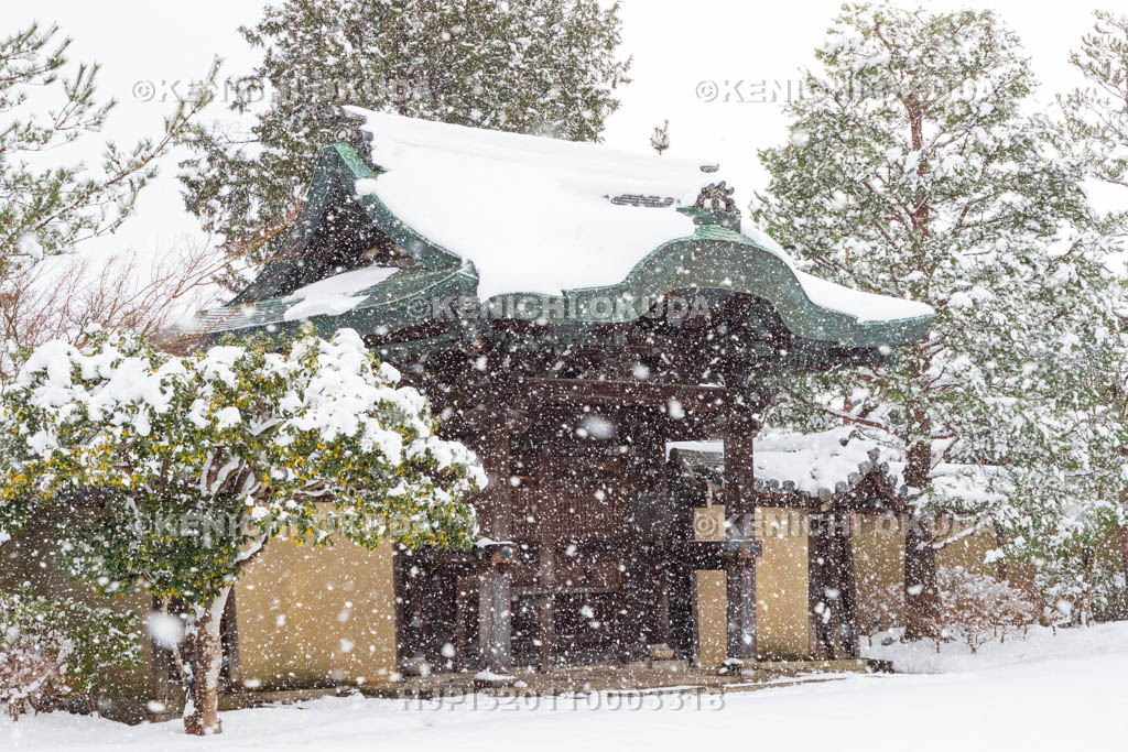 京都府　雪の高台寺　勅使門