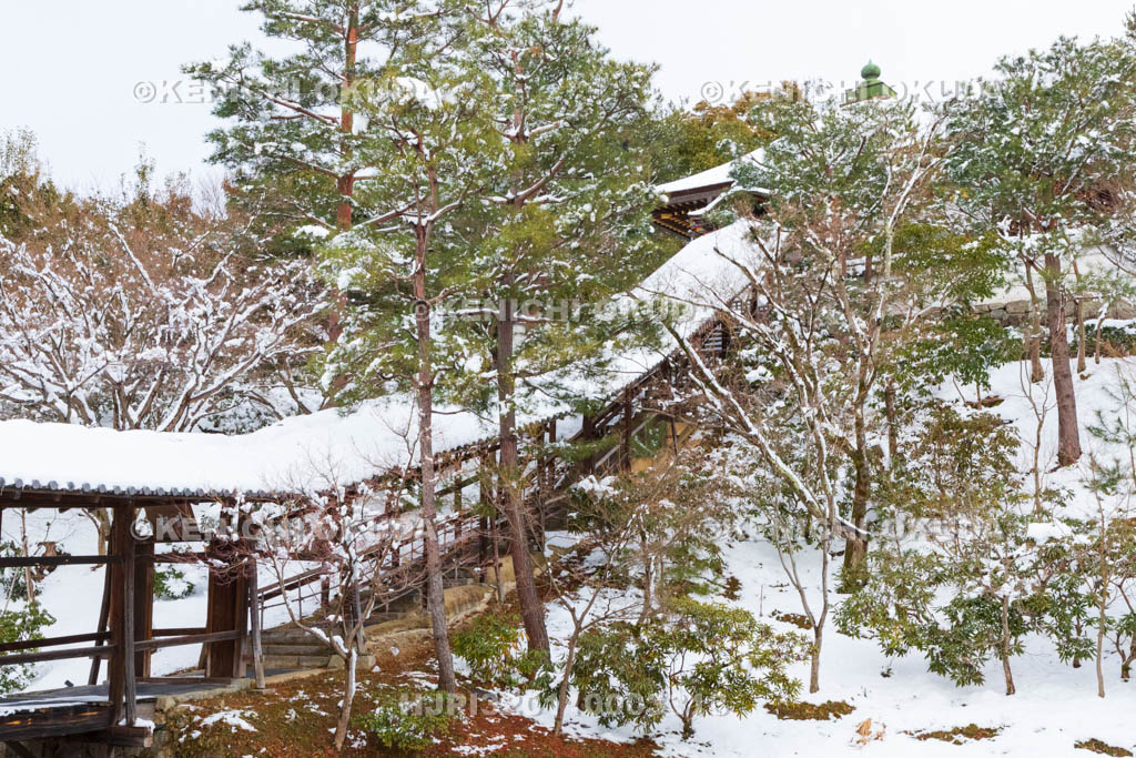 京都府　雪の高台寺　臥龍廊