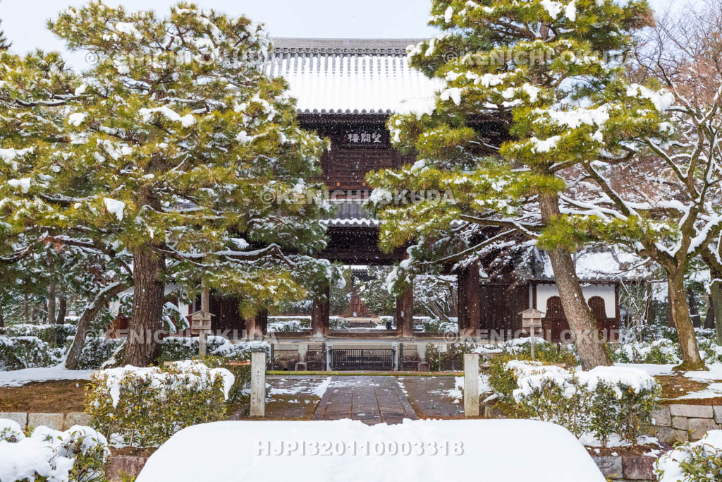 京都府　雪の建仁寺　三門（望闕楼）