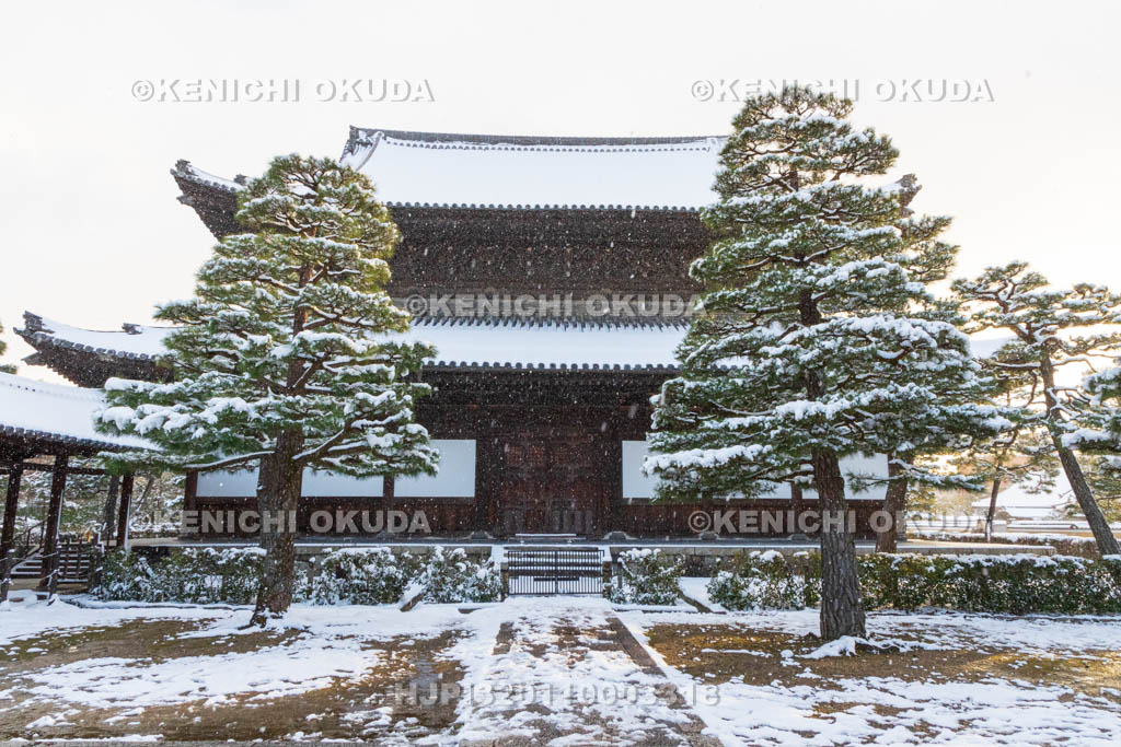 京都府　雪の建仁寺　法堂