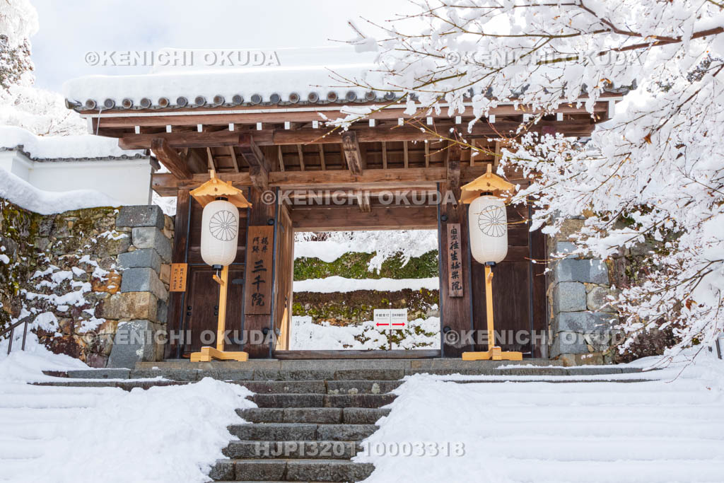 京都府　雪の三千院　御殿門