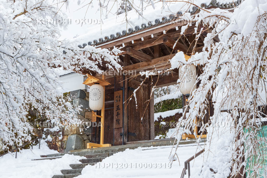 京都府　雪の三千院　御殿門