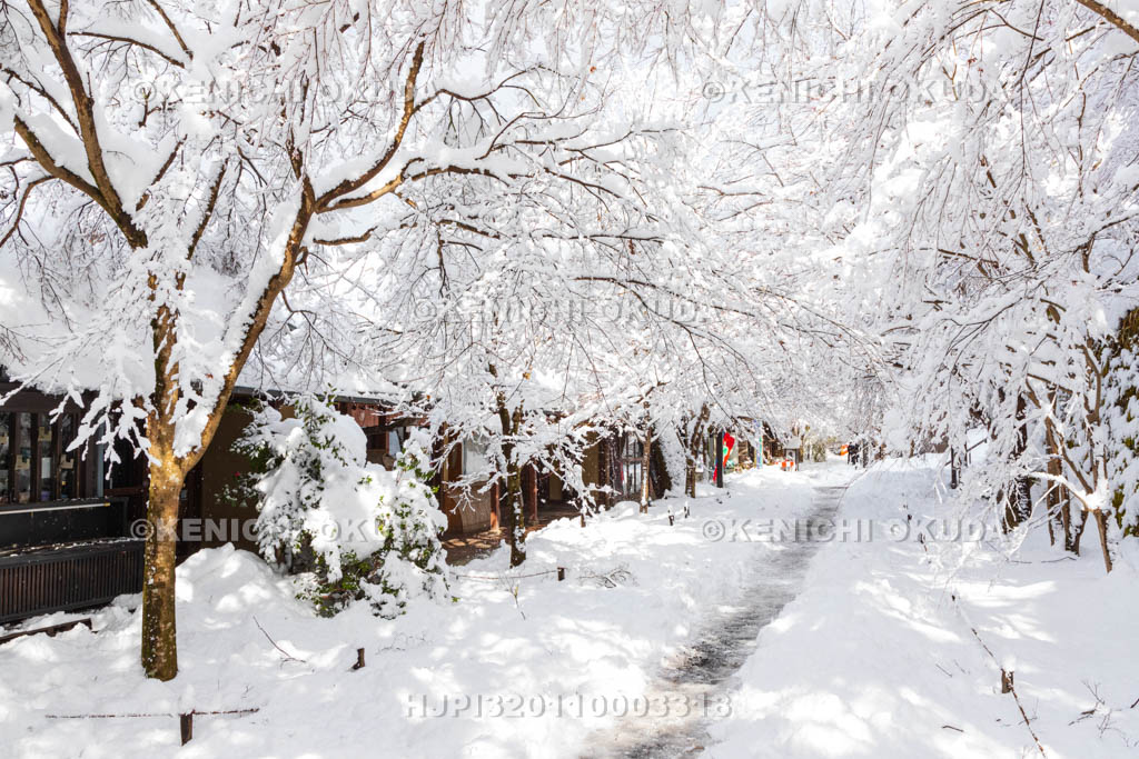 京都府　雪の三千院門前通り