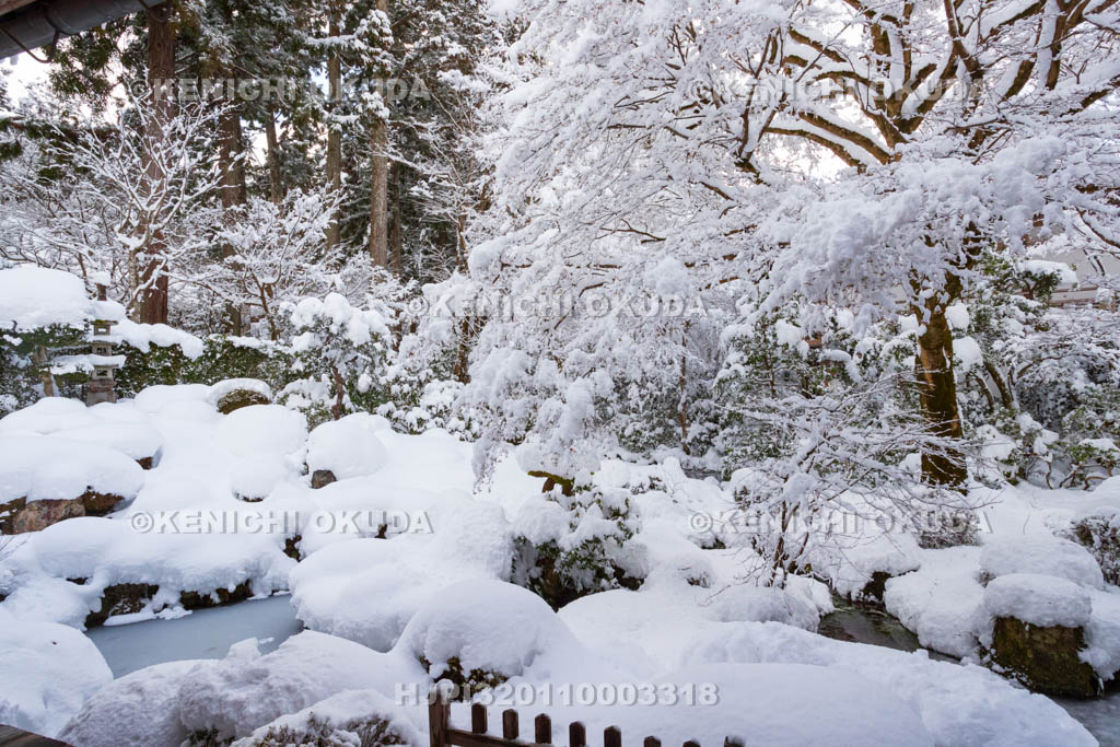 京都府　雪の三千院　聚碧園（しゅうへきえん）
