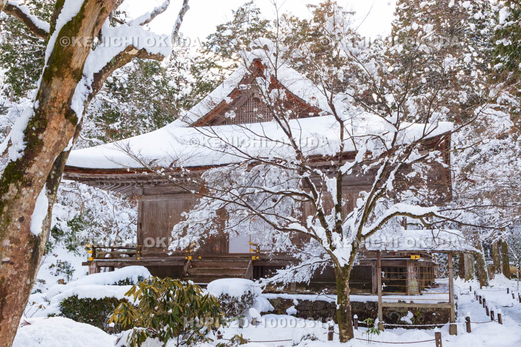 京都府　雪の三千院　往生極楽院（重要文化財）